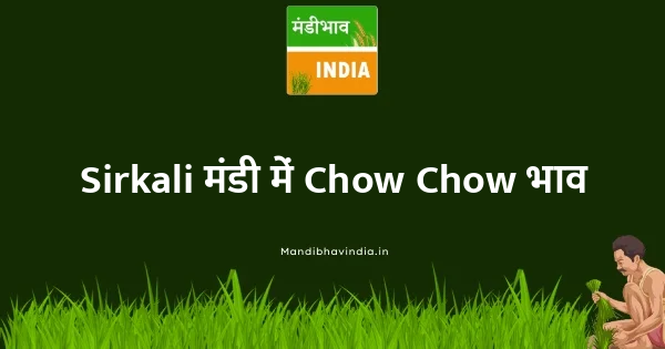 Chow Chow भाव